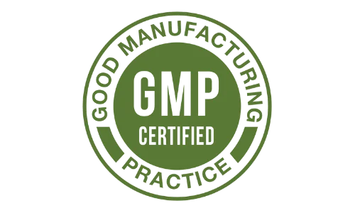 gmp logo